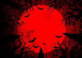 bats.webp